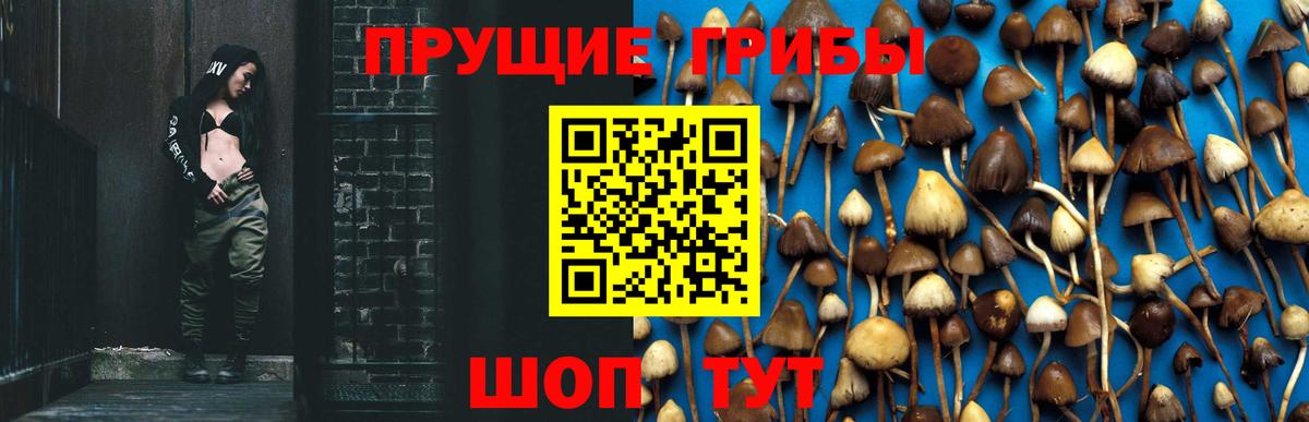 Заинск  Галлюциногенные грибы ЛСД  Галлюциногенные грибы Cubensis  Вход с VPN 